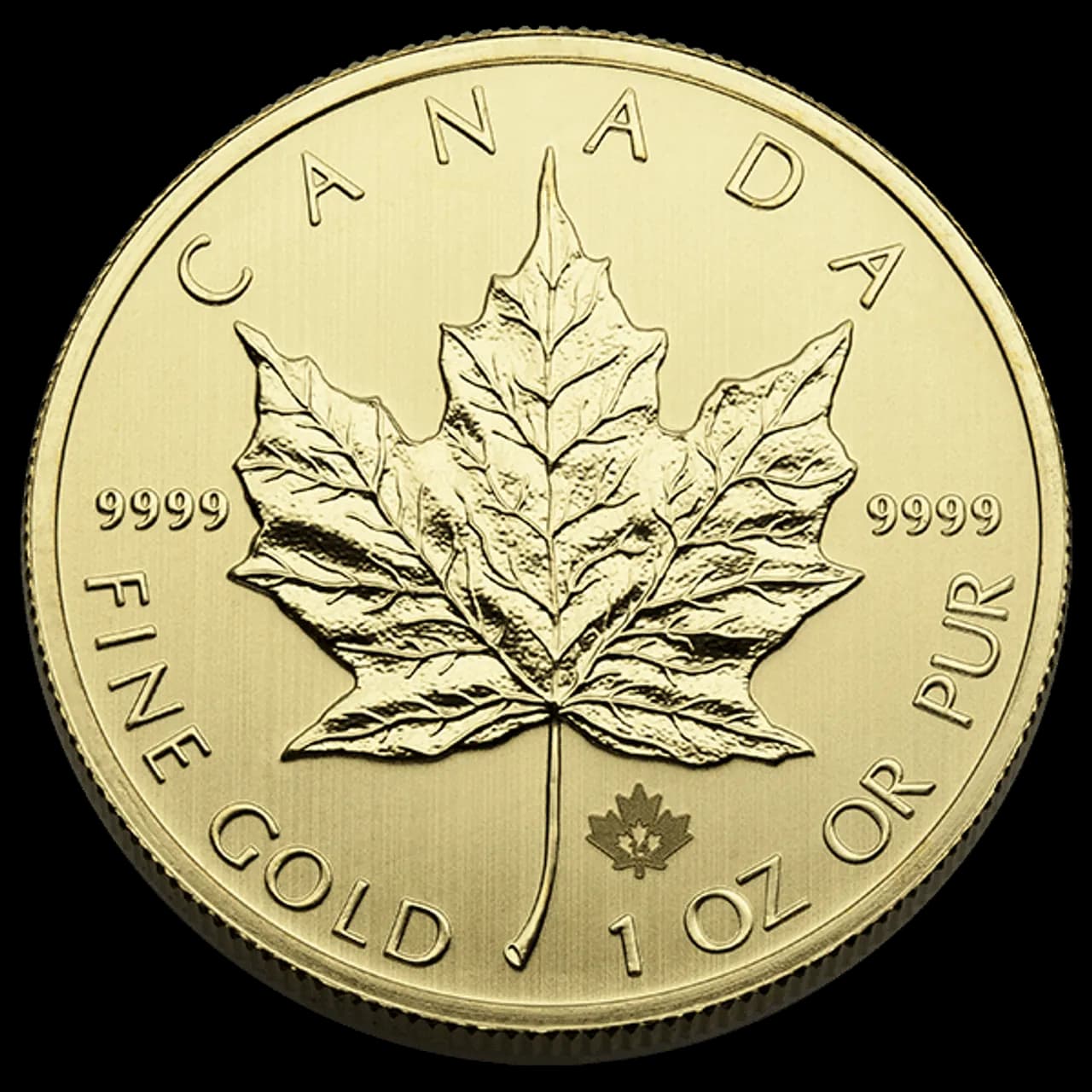 CANADIAN MAPLE LEAF COINS
